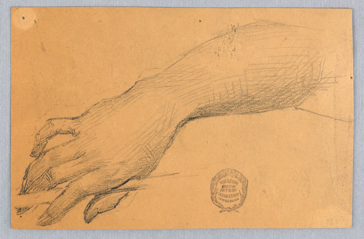 Studie af hånd og håndled af Francis Augustus Lathrop