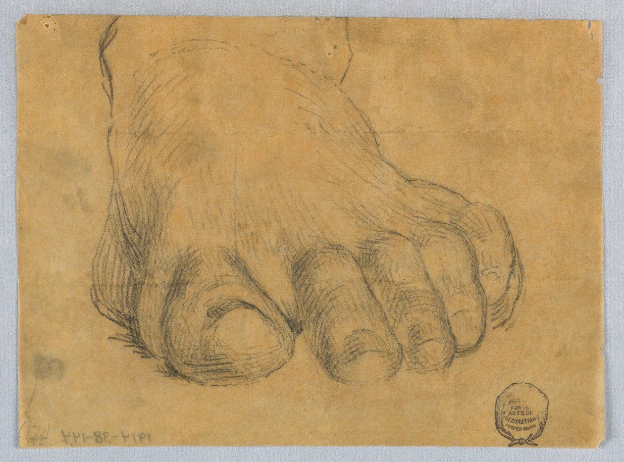 Studie af venstre fod af Francis Augustus Lathrop