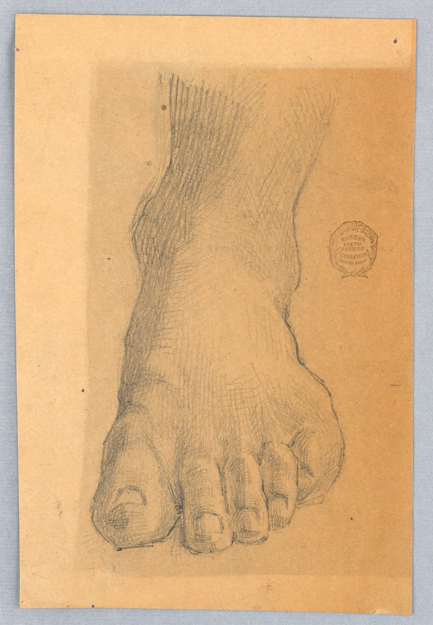 Studie af venstre fod af Francis Augustus Lathrop