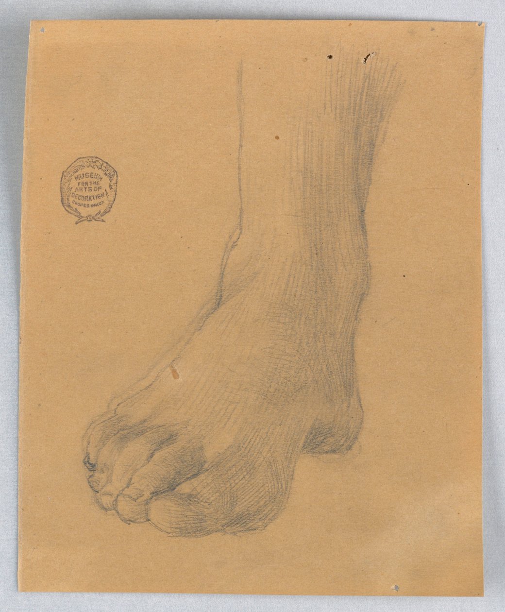 Studie af højre fod af Francis Augustus Lathrop