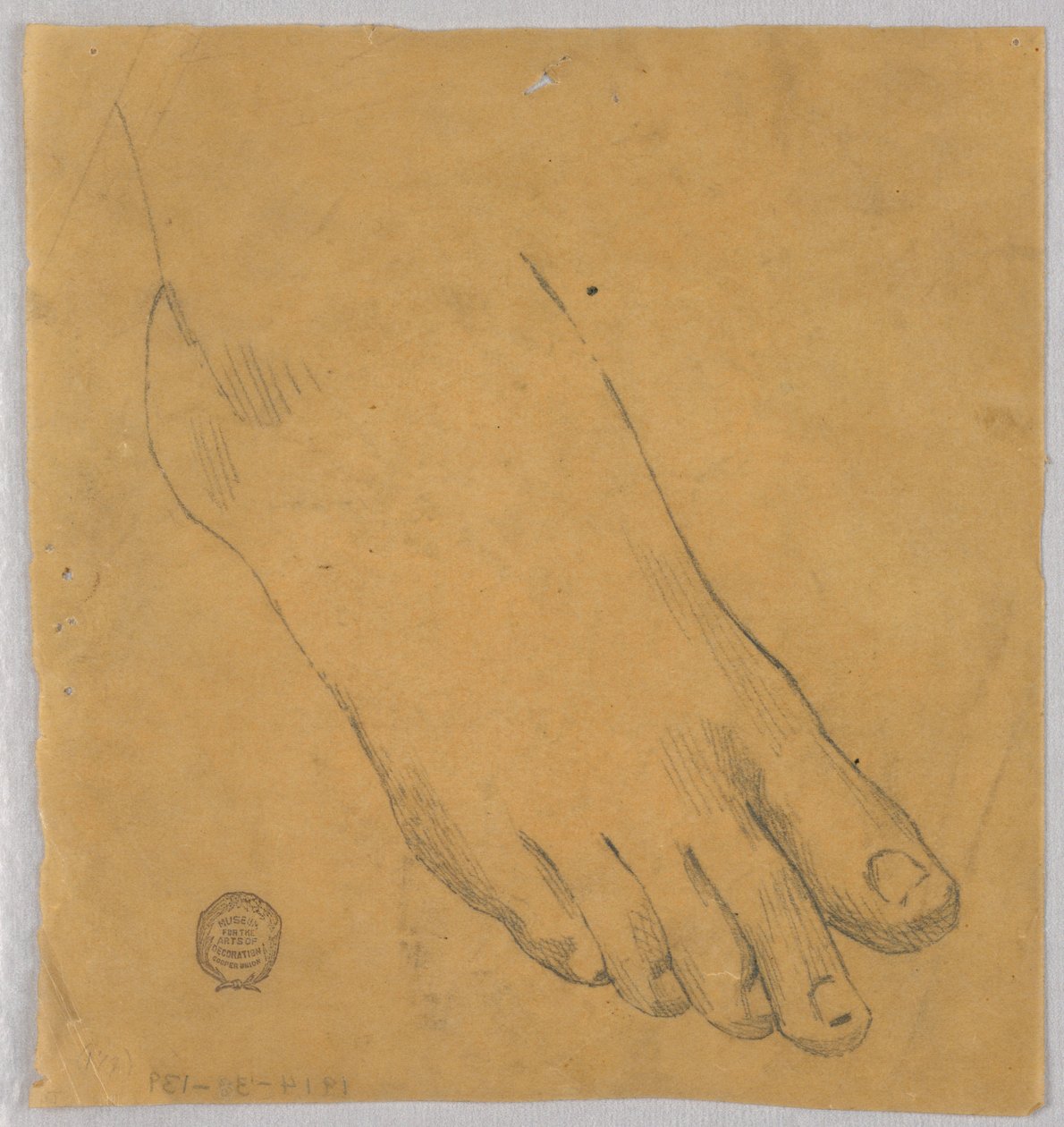 Studie af en højre fod af Francis Augustus Lathrop