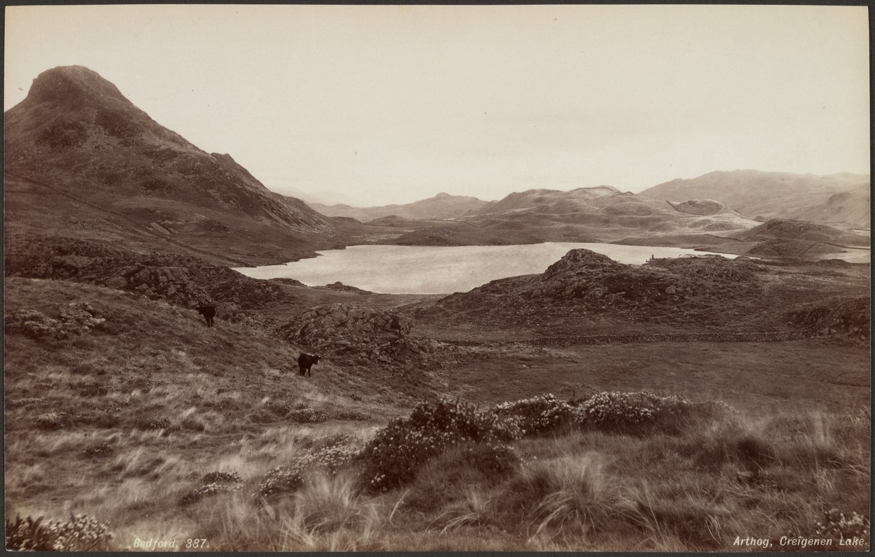 Arthog, Creigene-søen af Francis Bedford
