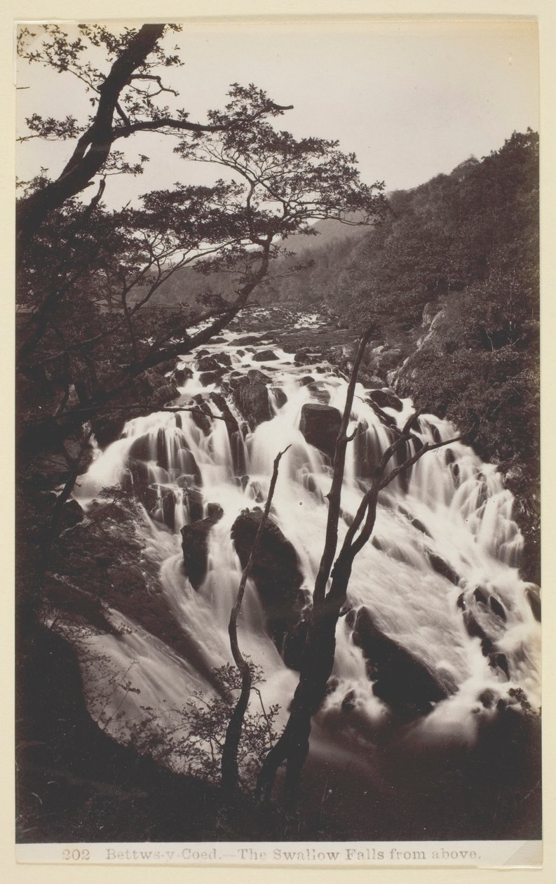 Bettw-s-y Coed, Svalen falder fra oven af Francis Bedford