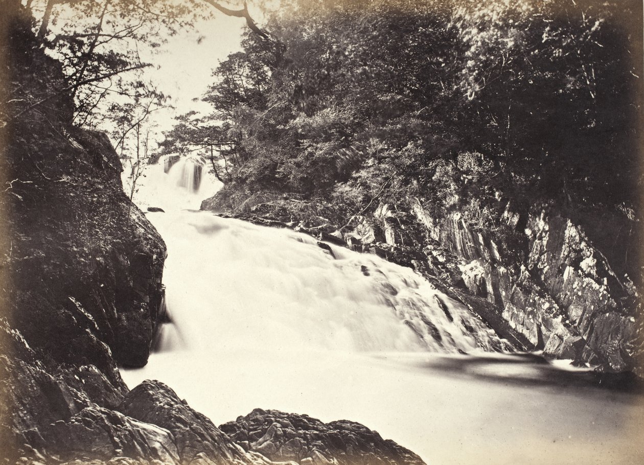 Bettws-y-Coed, Swallow Falls set nedefra (696) af Francis Bedford