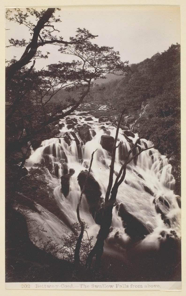Bettws-y Coed, Svalen falder fra oven, 186094. af Francis Bedford