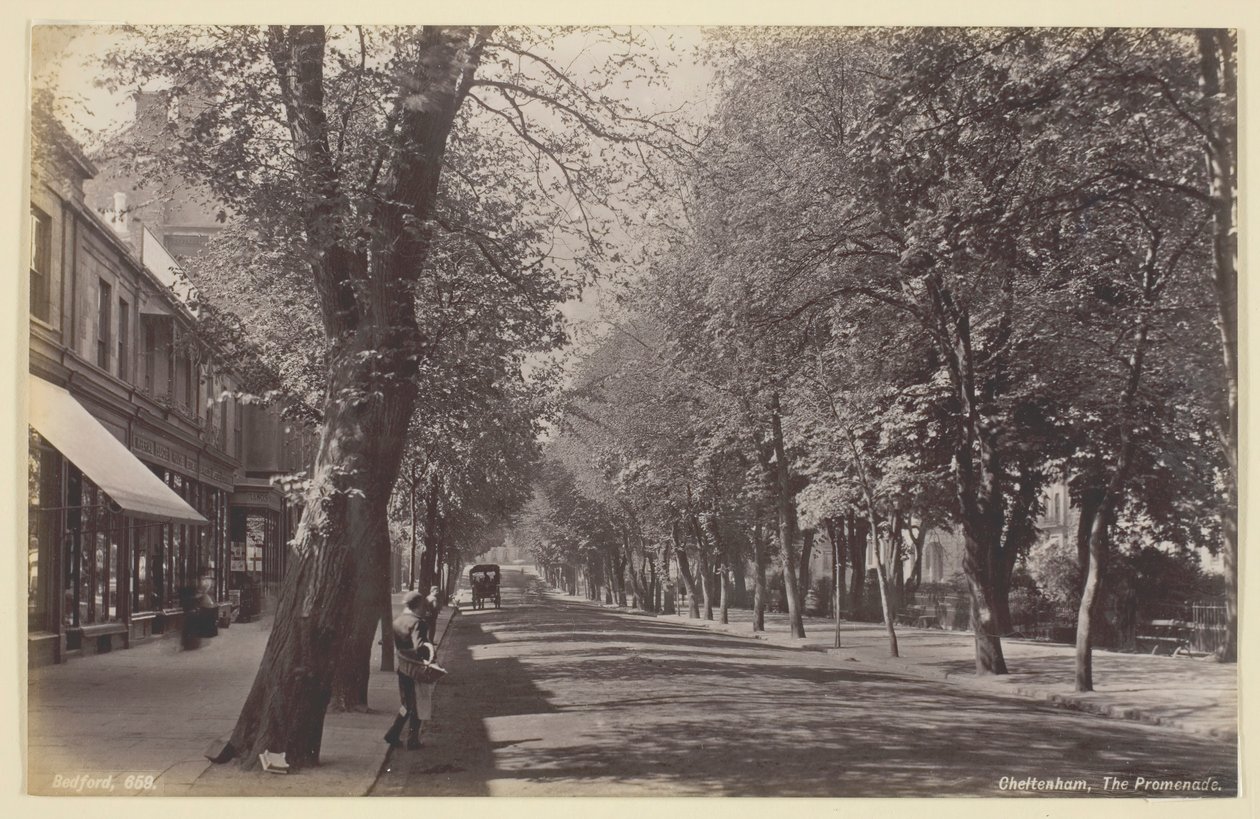 Cheltenham, Promenade, 186094. af Francis Bedford