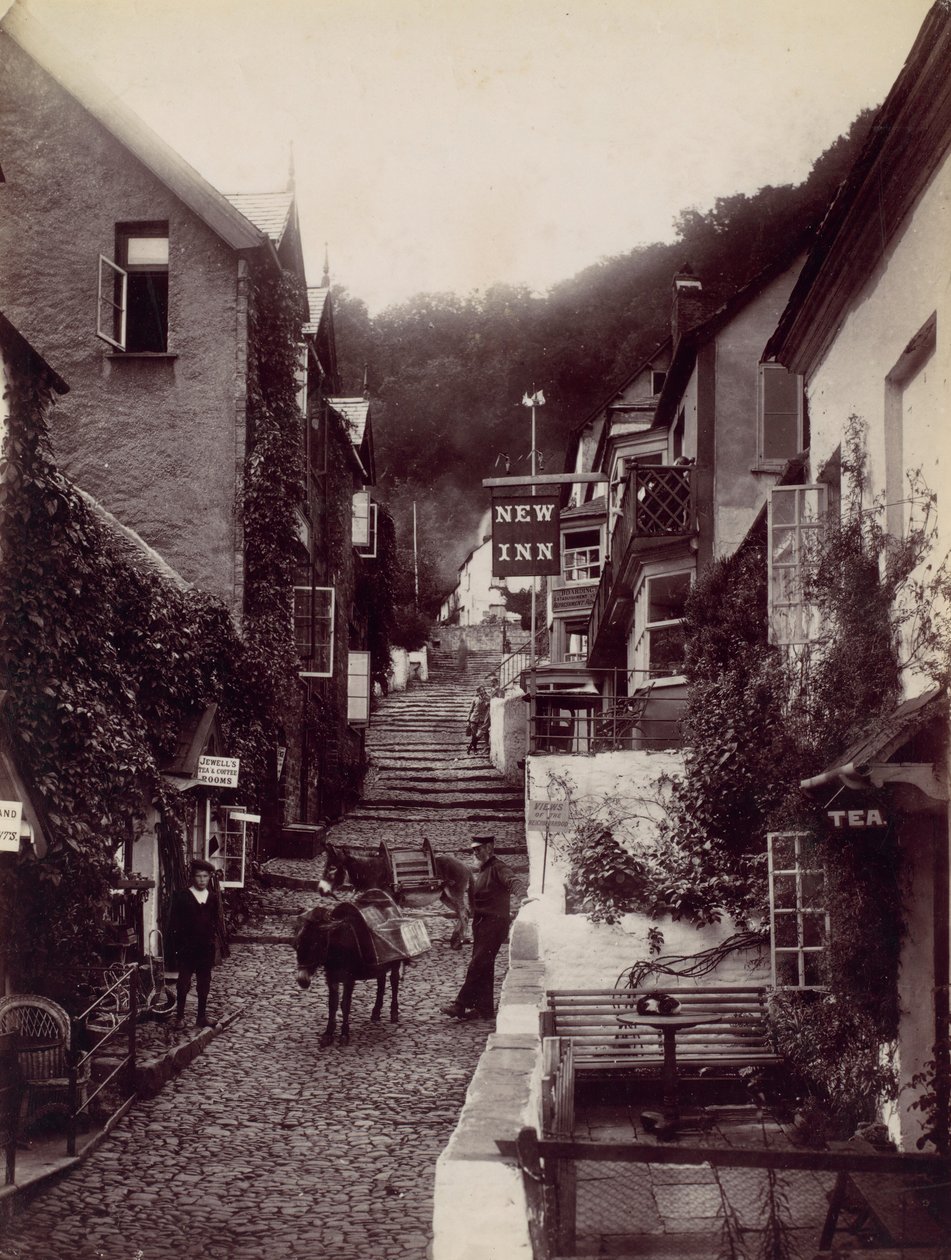 Clovelly, The New Inn and Street, 1870