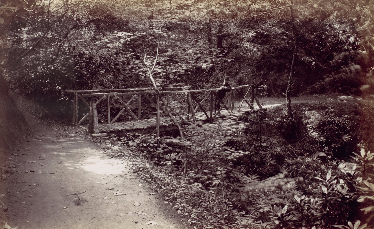 Colwyn Bay. Rustik bro i skoven, 1870
