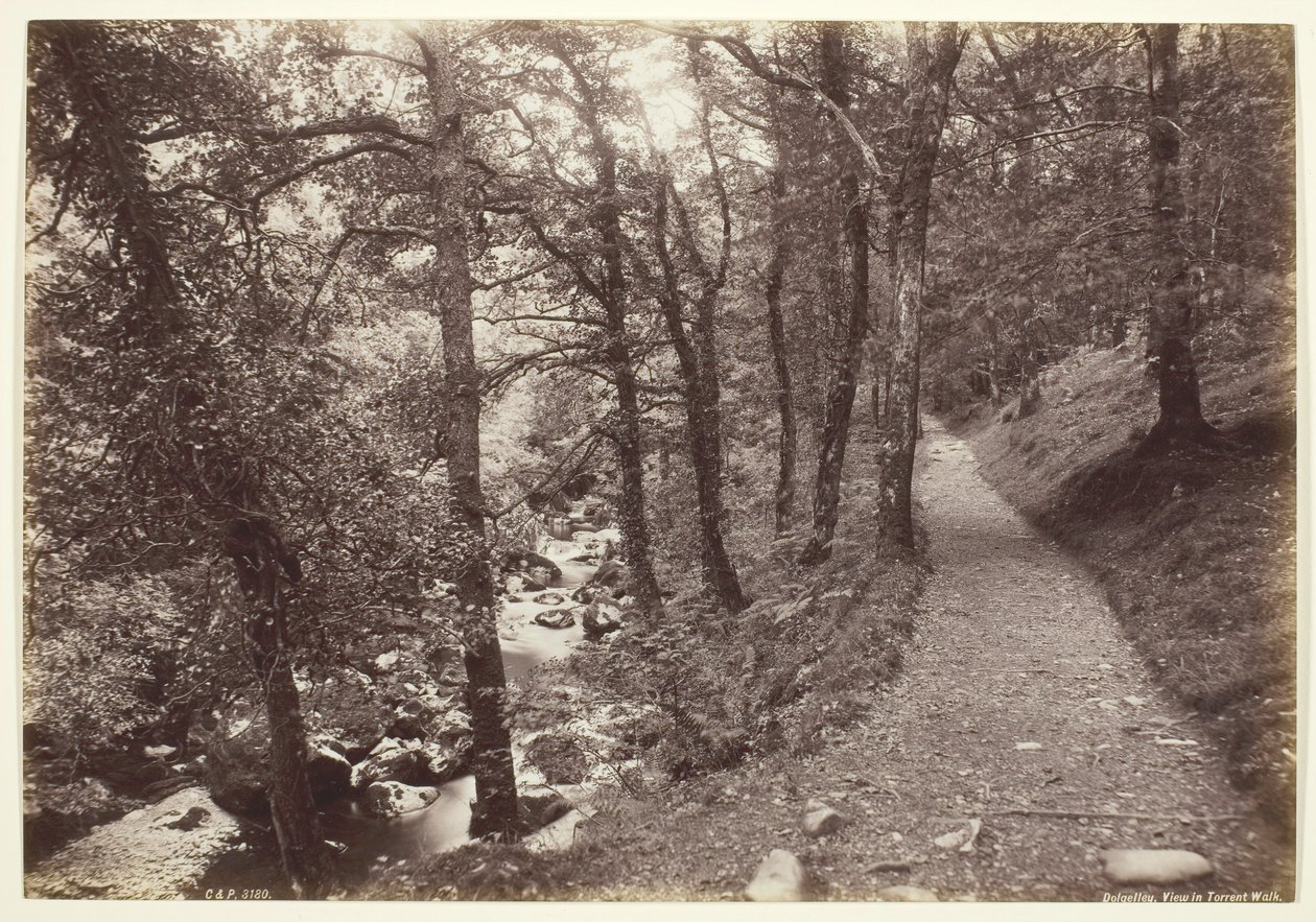 Dolgelley, View in Torrent Walk, 186094. af Francis Bedford