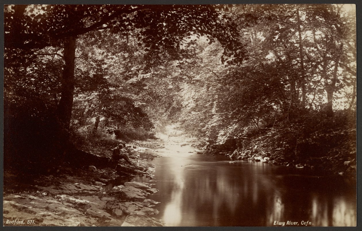 Elwy-floden, Cefn af Francis Bedford