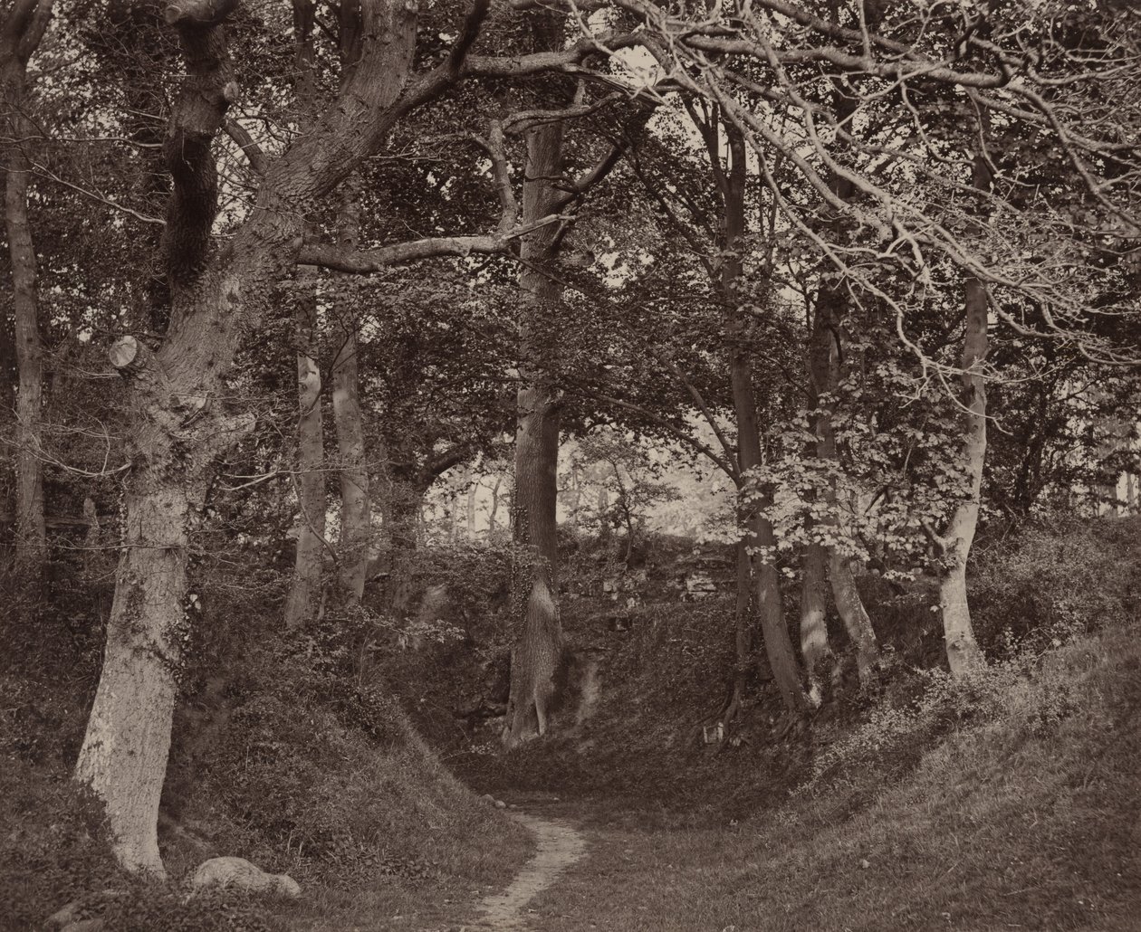Glen Kenilworth, ca. 1868 (foto) af Francis Bedford