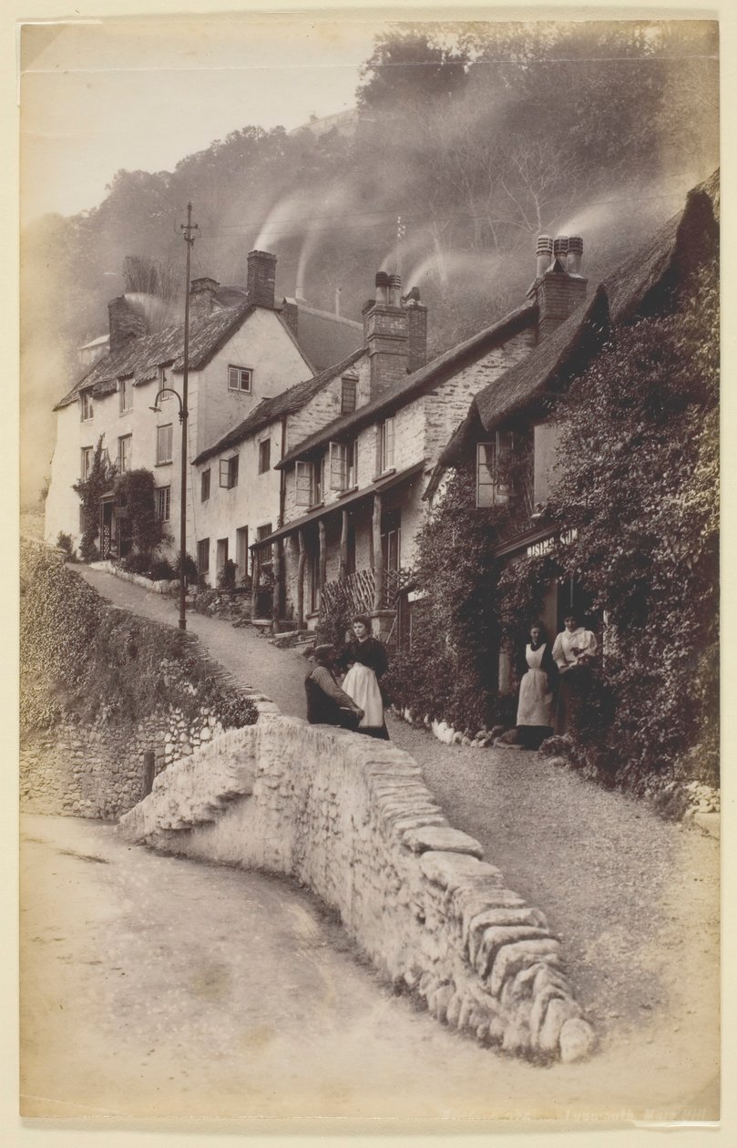 Lynmouth, Mars Hill, 186094. af Francis Bedford