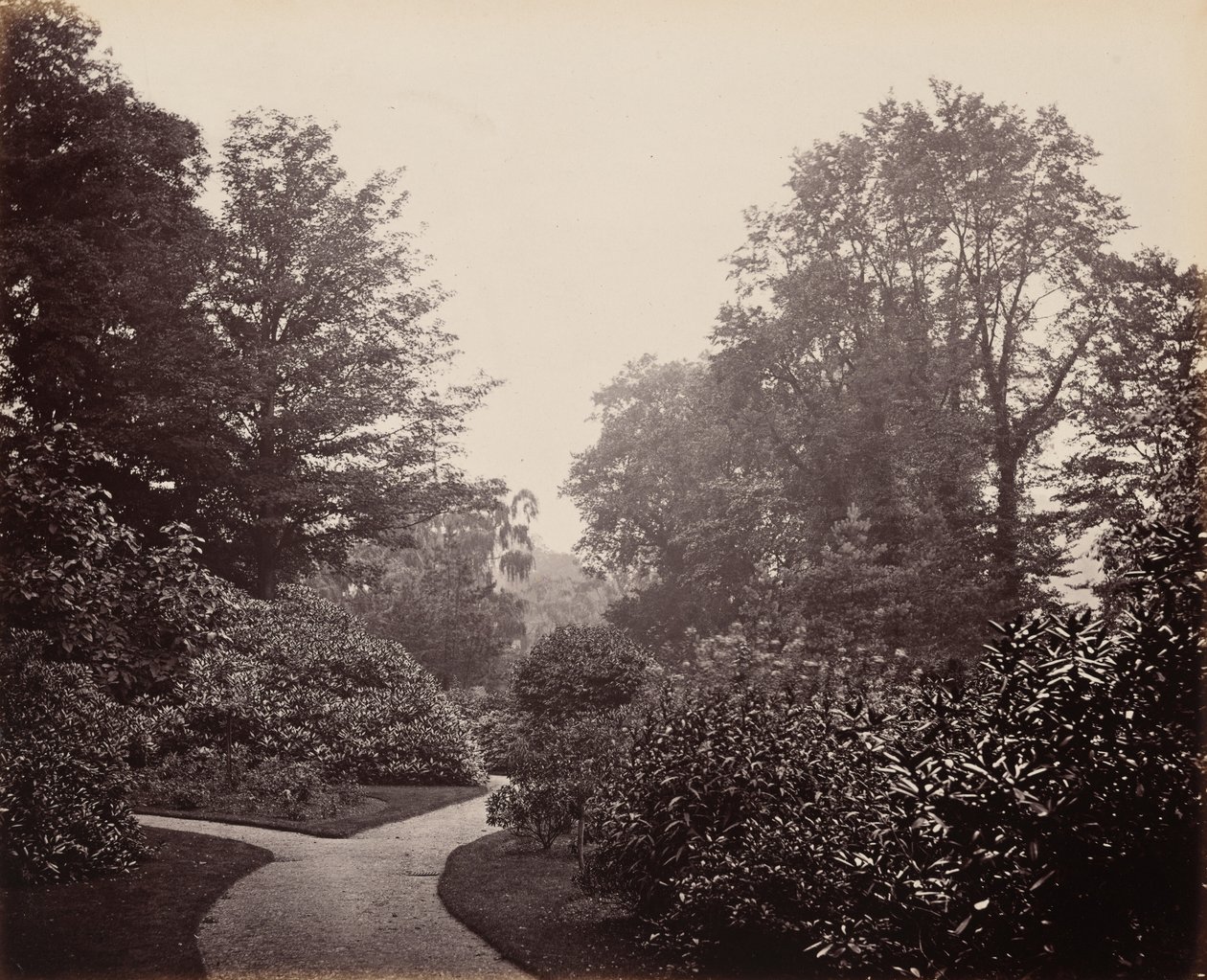 Stien i Alexandra Park af Francis Bedford