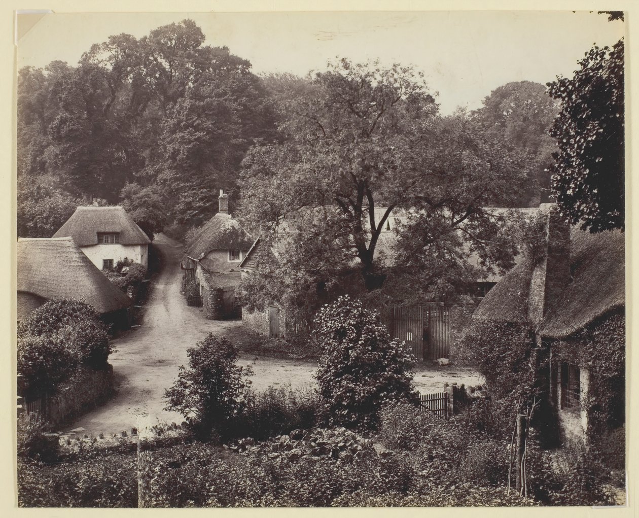 Uden titel [stråtækte hytter], 186094. af Francis Bedford