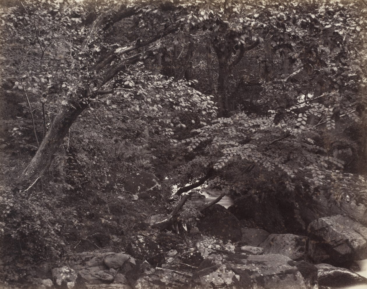 Glen ved Lynmouth af Francis Bedford, Francis Frith