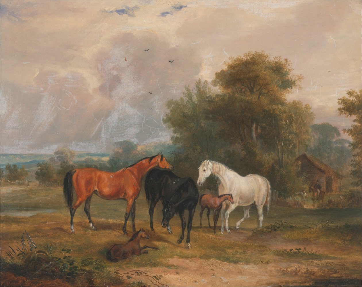 Heste på græs: Hopper og føl på en mark af Francis Calcraft Turner