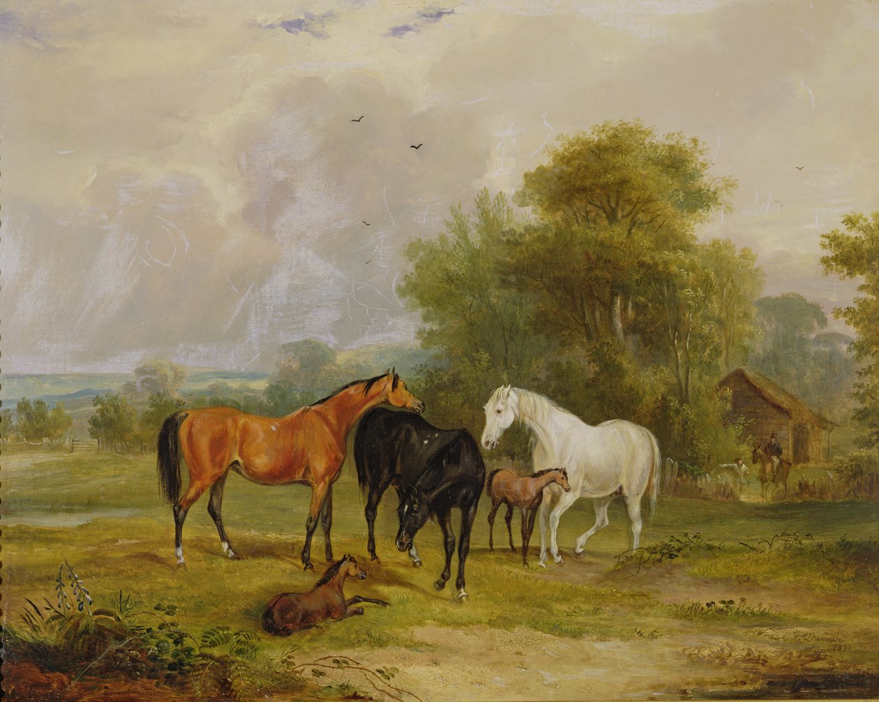 Heste, der græsser: Hopper og føl på en mark af Francis Calcraft Turner