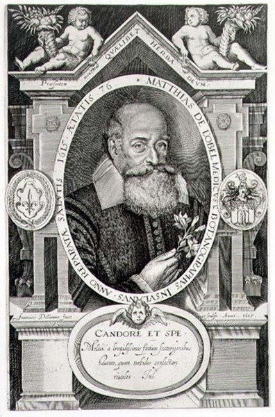 Portræt af Matthias de Lobel (1538-1622) indgraveret af kunstneren af Francis Delaram
