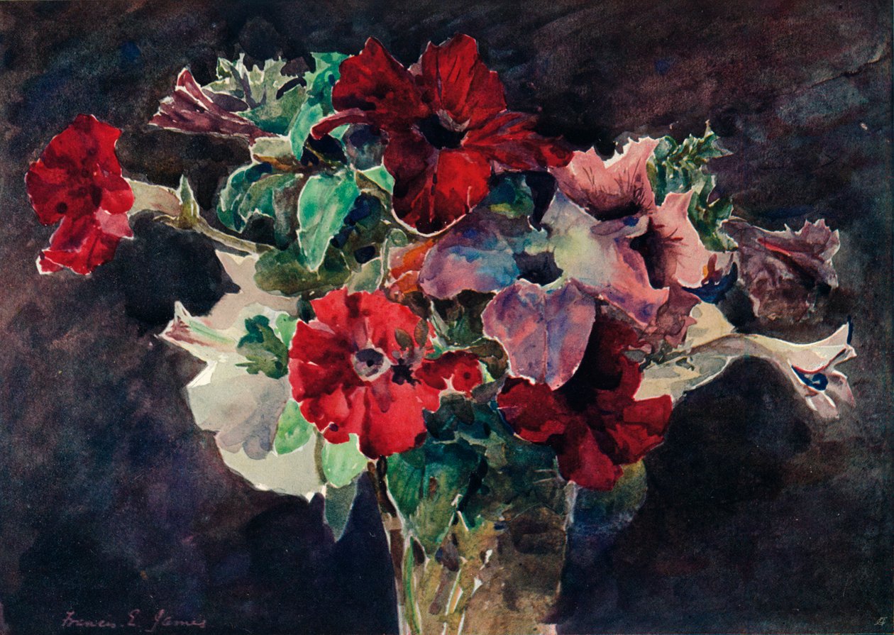 Petunier, c1869-1906, 1906 af Francis Edward James
