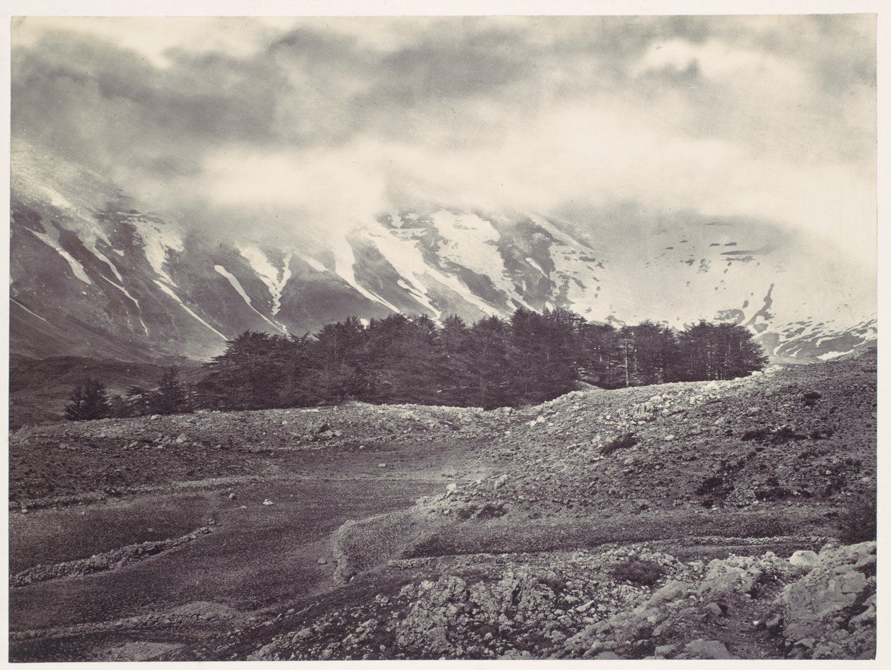 Fjern udsigt over Libanons cedre af Francis Frith