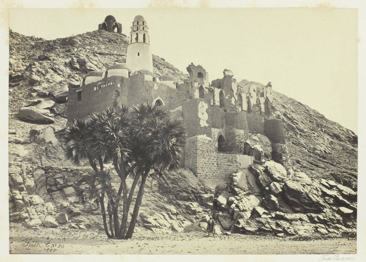 Doum Palm og den ødelagte moske, Philæ af Francis Frith