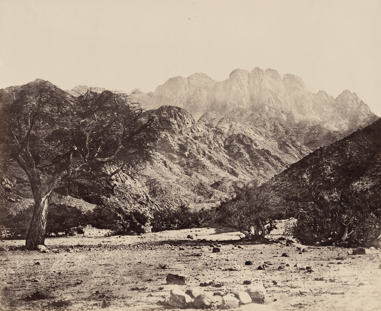 Serbal-bjerget, fra Wadi Feiran, Egypten af Francis Frith