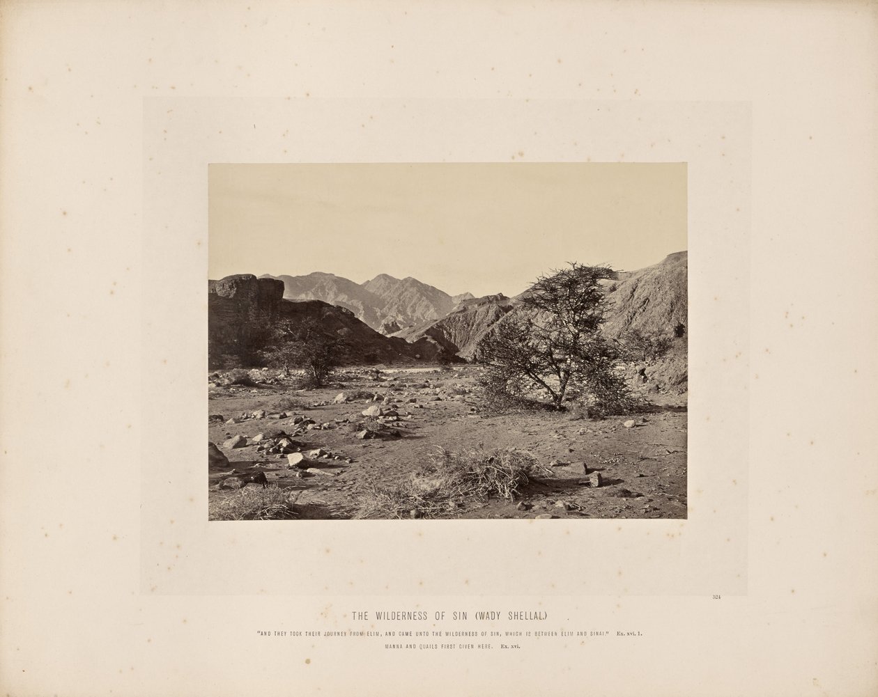 Syndens vildmark (Wady Shellal) af Francis Frith