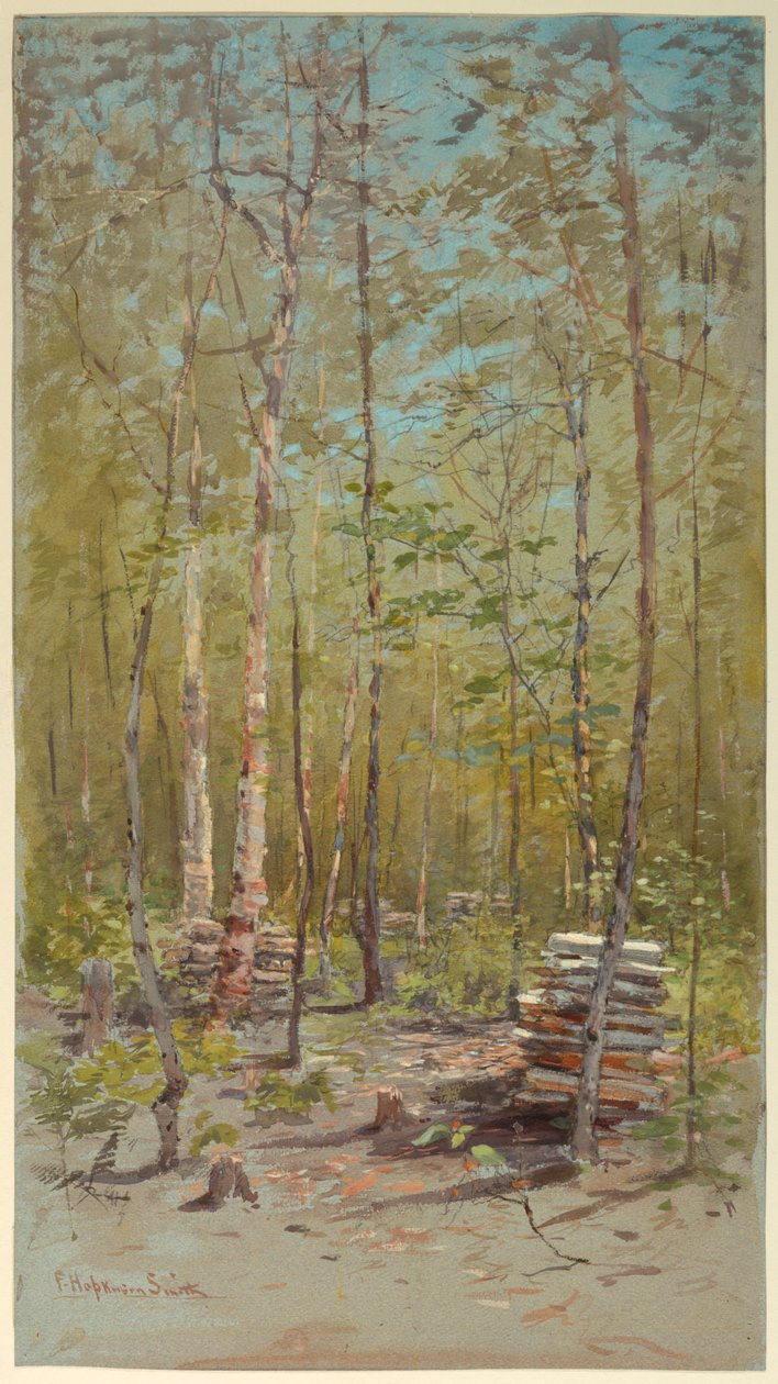 Birketræer af Francis Hopkinson Smith