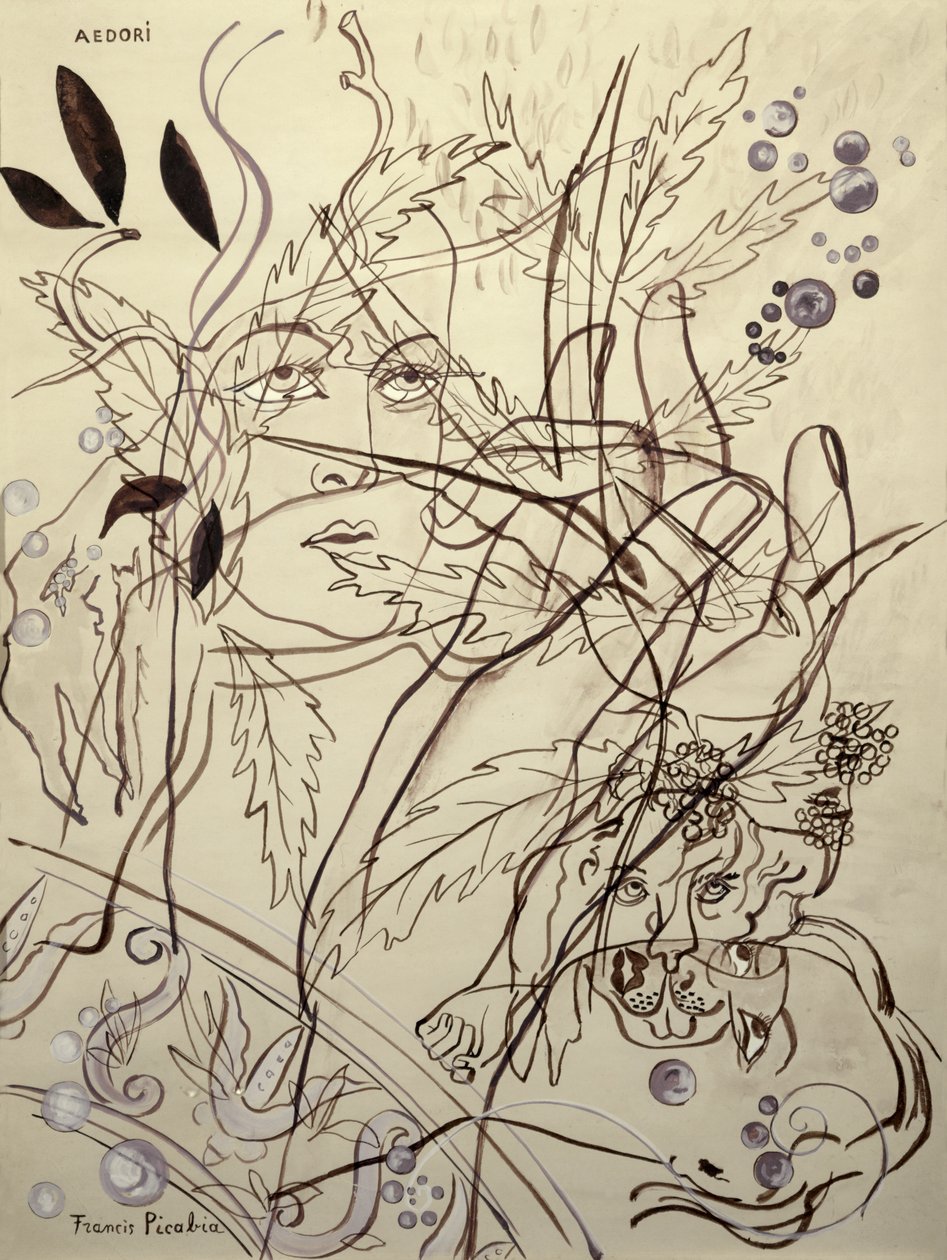Aedori af Francis Picabia