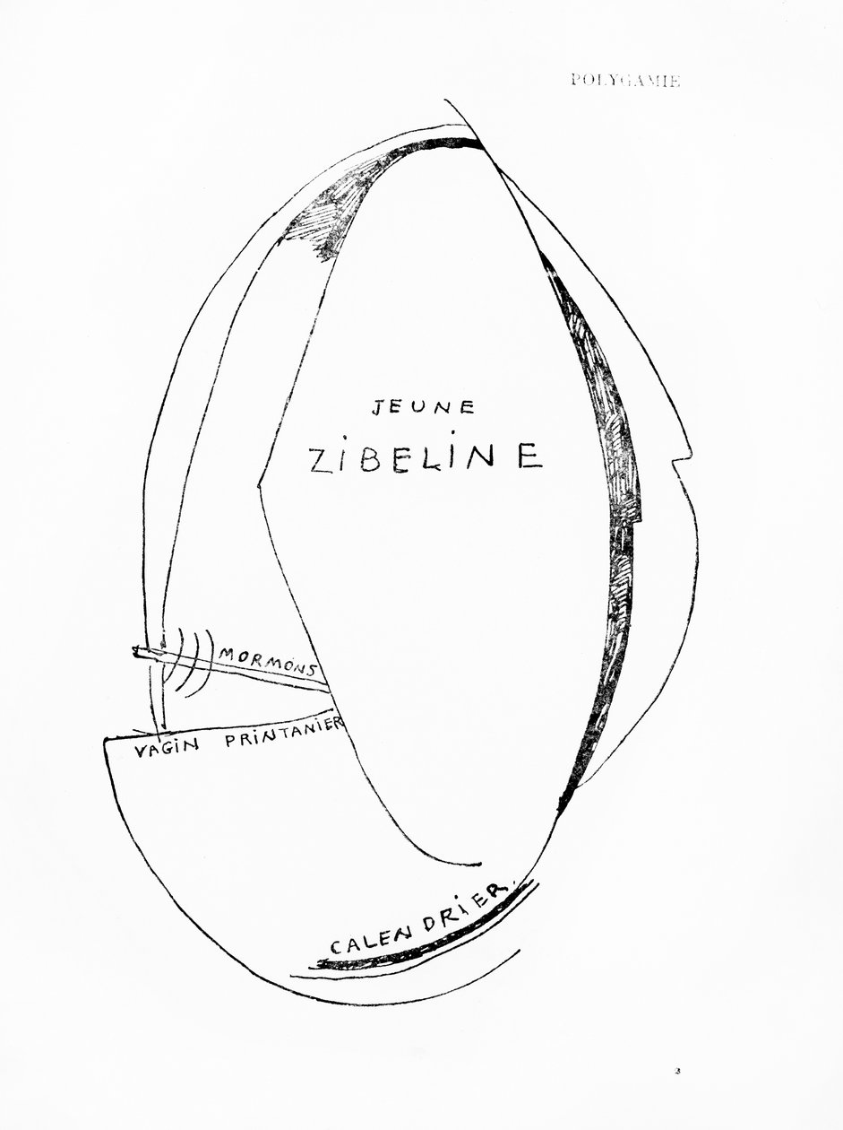 Poemes et Dessins de la Fille nee sans Mere, nr. 15, udgivet af Imprimeries Reunies, Lausanne af Francis Picabia