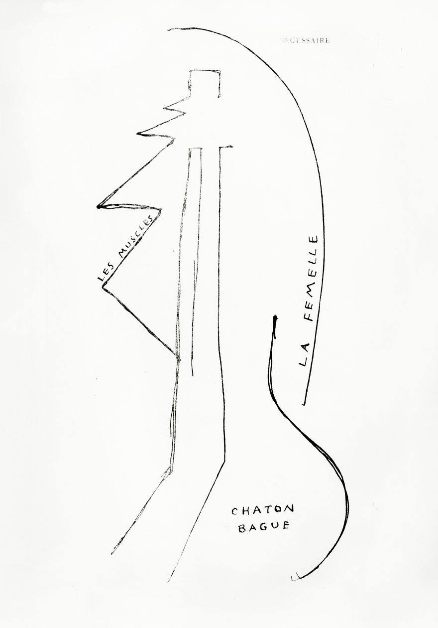 Poemes et Dessins de la Fille nee sans Mere, nr. 23, udgivet af Imprimeries Reunies, Lausanne af Francis Picabia