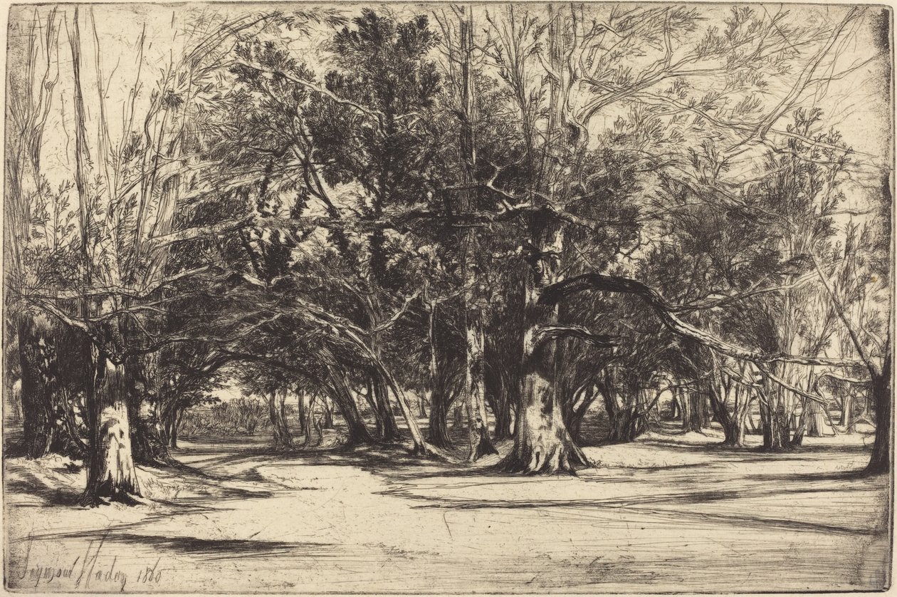 En ad-vej i Tipperary af Francis Seymour Haden