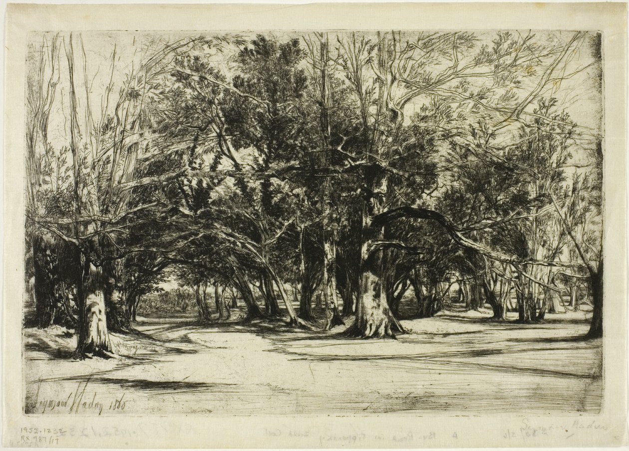 En ad-vej i Tipperary af Francis Seymour Haden
