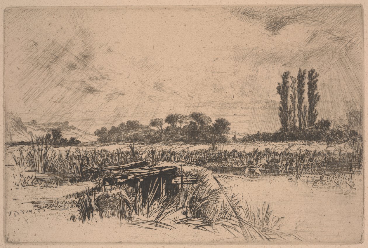 A Water Meadow (ætsning og tørnål) af Francis Seymour Haden