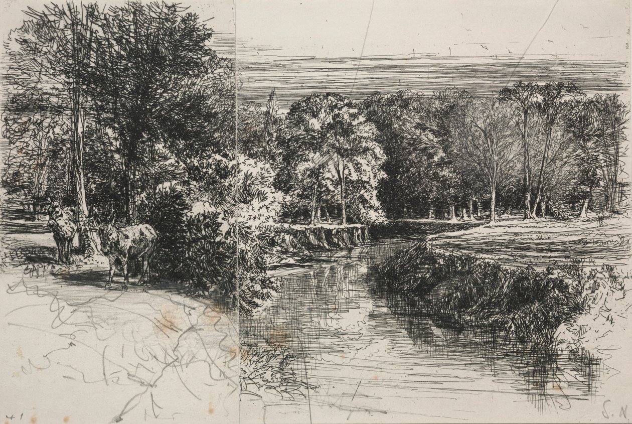 Dundrum-floden og de to æsler, 1863. af Francis Seymour Haden