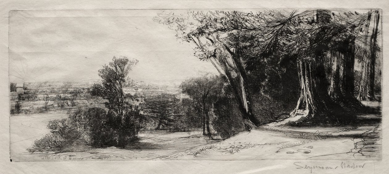 Tidlig morgen, Richmond Park af Francis Seymour Haden