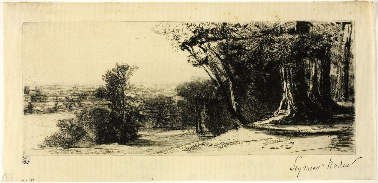 Tidlig morgen, Richmond Park af Francis Seymour Haden