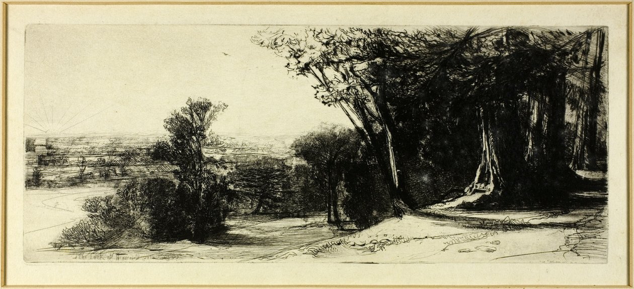 Tidlig morgen, Richmond Park af Francis Seymour Haden