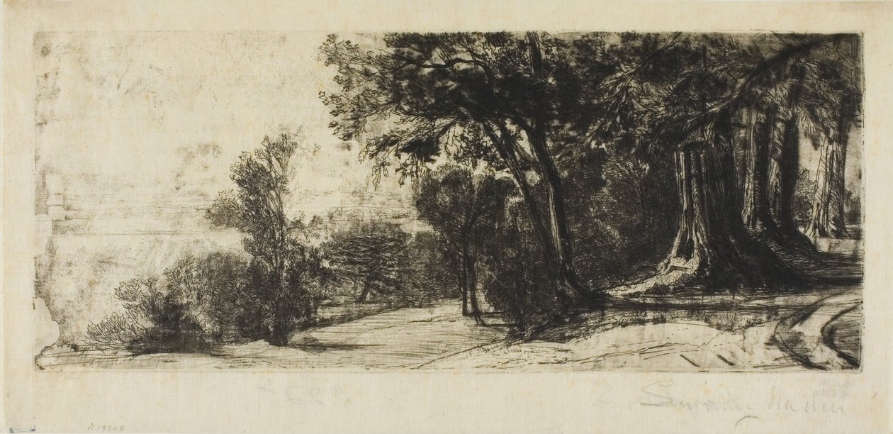 Tidlig morgen, Richmond Park af Francis Seymour Haden