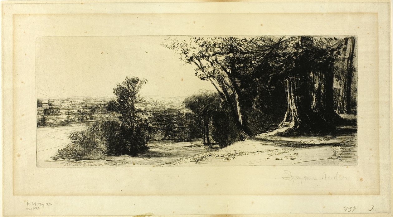 Tidlig morgen, Richmond Park af Francis Seymour Haden