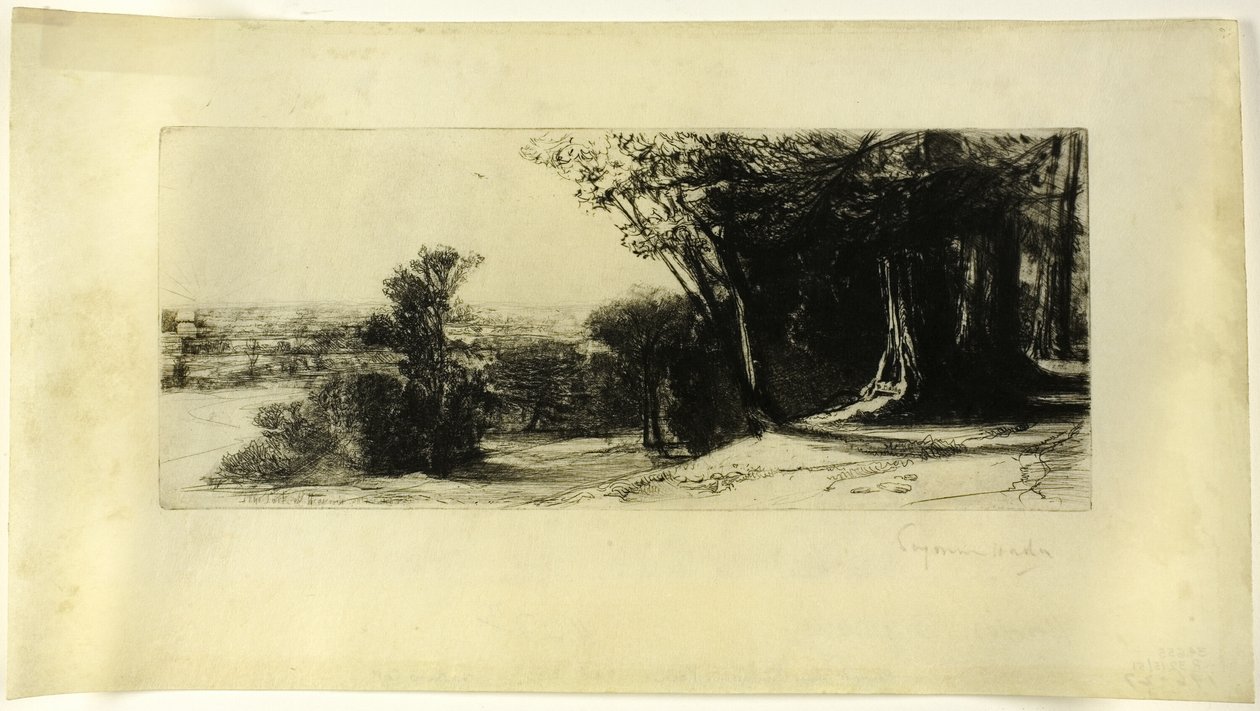 Tidlig morgen, Richmond Park af Francis Seymour Haden