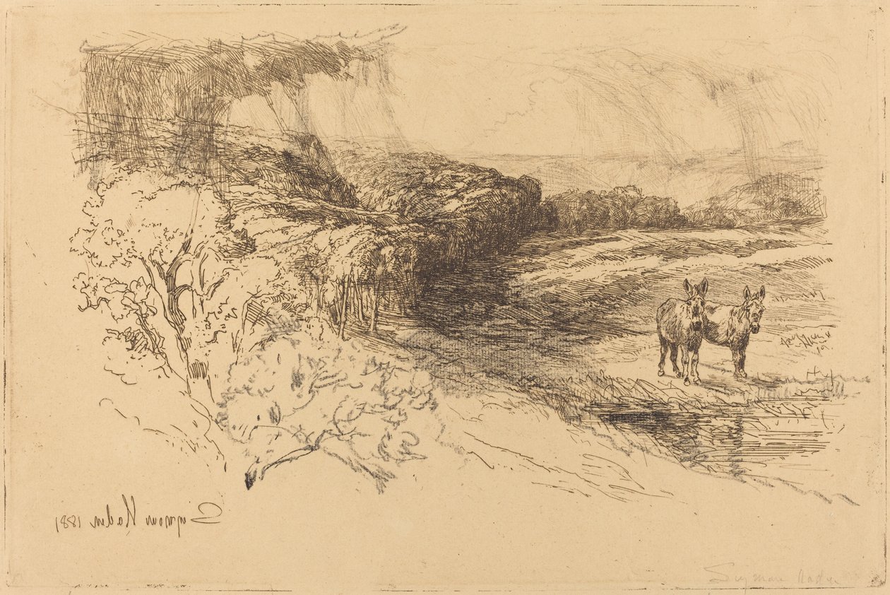 Encombe Woods (nr. 1) af Francis Seymour Haden