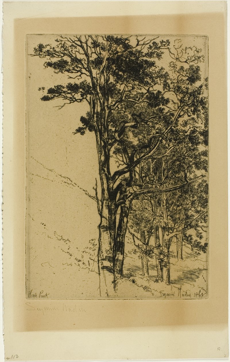 graner (en undersøgelse) af Francis Seymour Haden