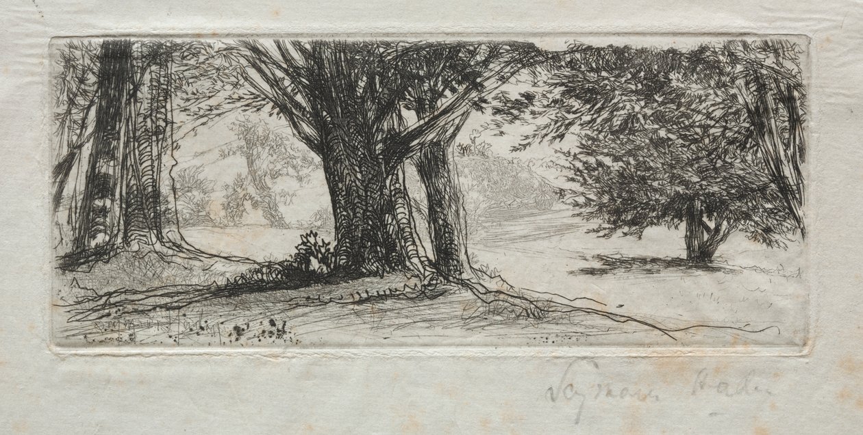 Holly Field af Francis Seymour Haden
