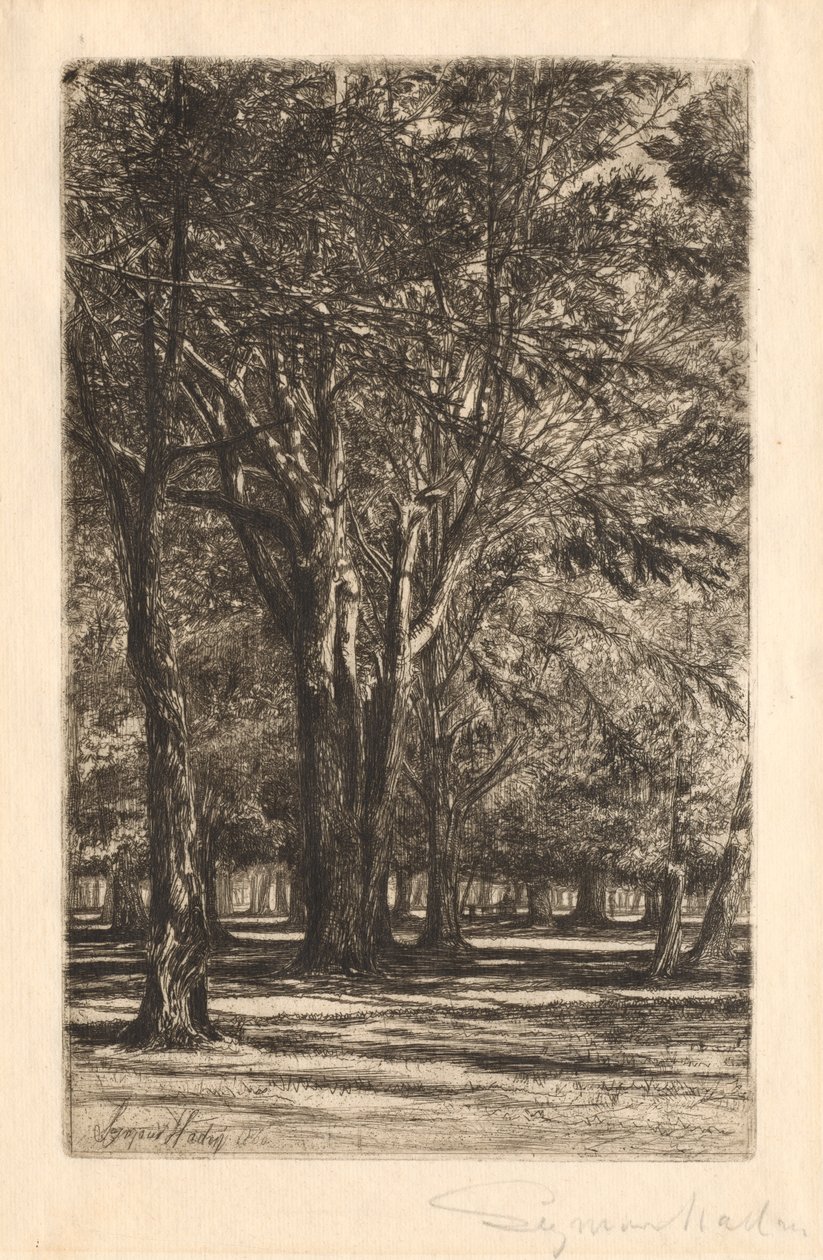 Kensington Gardens, nr. 2, stor plade, 1860. af Francis Seymour Haden
