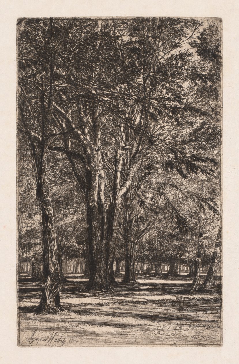 Kensington Gardens, nr. 2 The Larger Plate, 1860. af Francis Seymour Haden