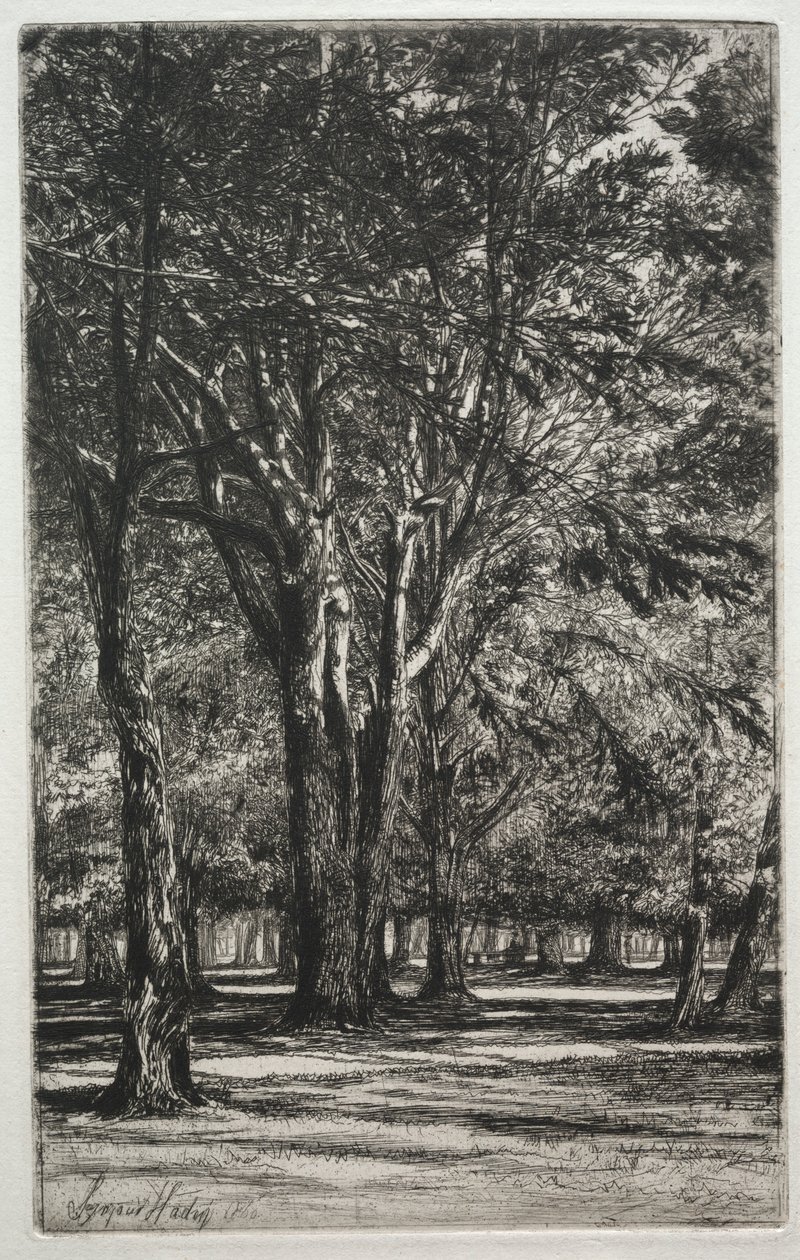 Kensington Gardens The Large Plate, 1860. af Francis Seymour Haden