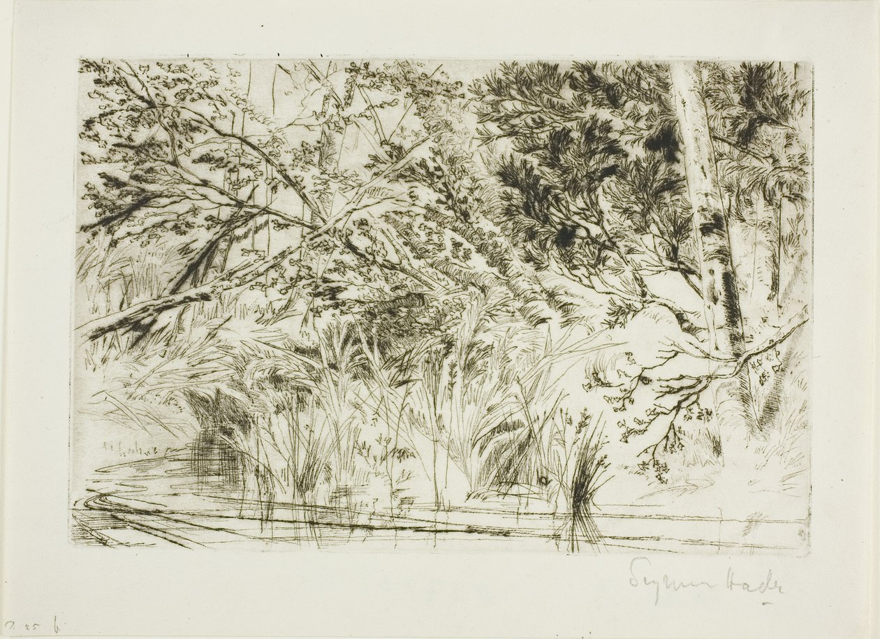 Munden af en bæk, nr. II af Francis Seymour Haden