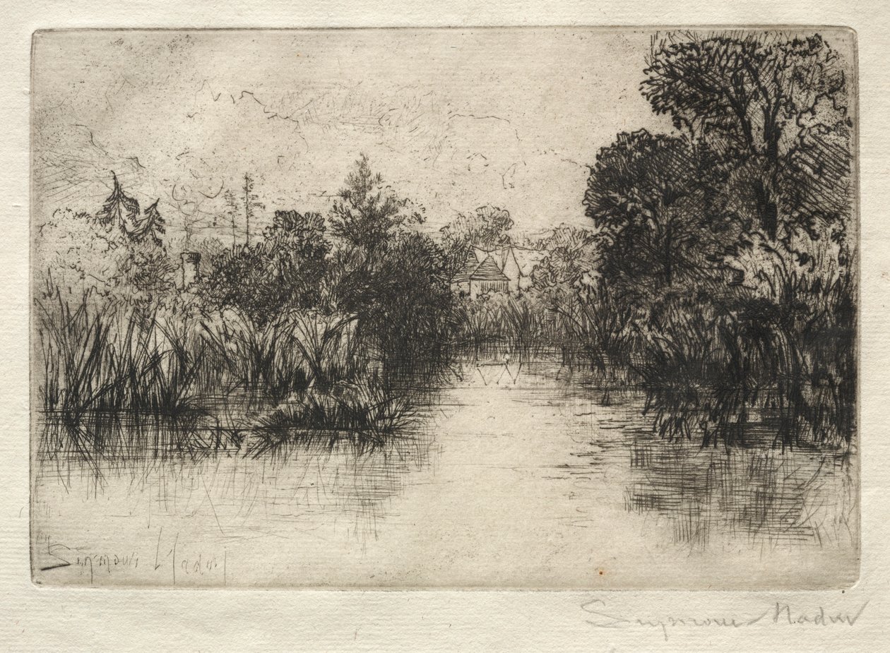 Shere Mill Pond En lille undersøgelse. af Francis Seymour Haden
