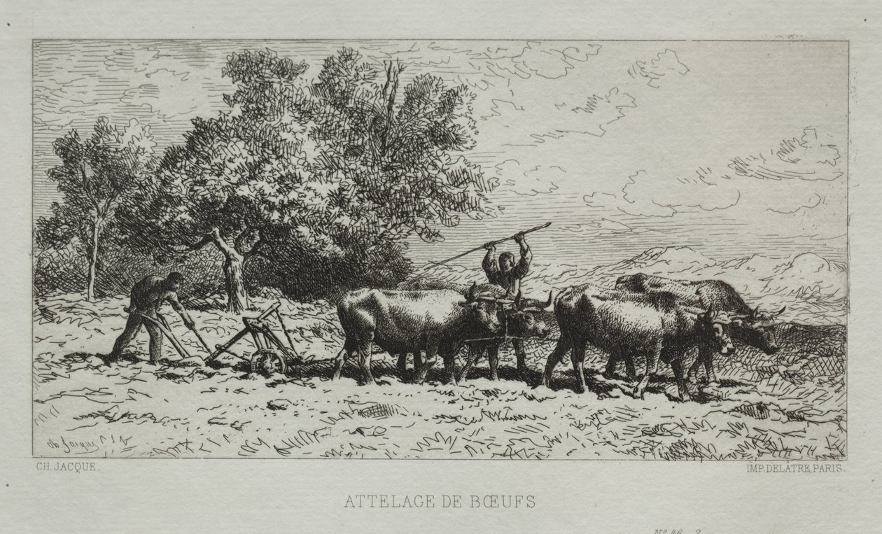 Team af okser af Francis Seymour Haden